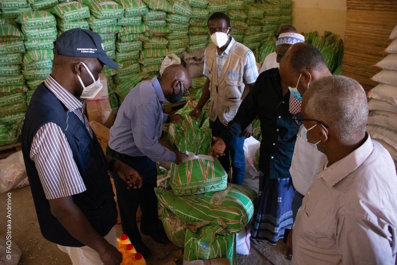 FAO Remise aliment bétails