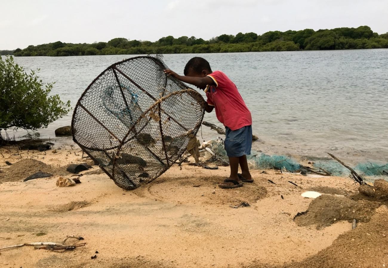 es changements climatiques et la déforestation autour des mangroves ont réduit les sites de reproduction et les prises de poissons dans le nord de Djibouti.