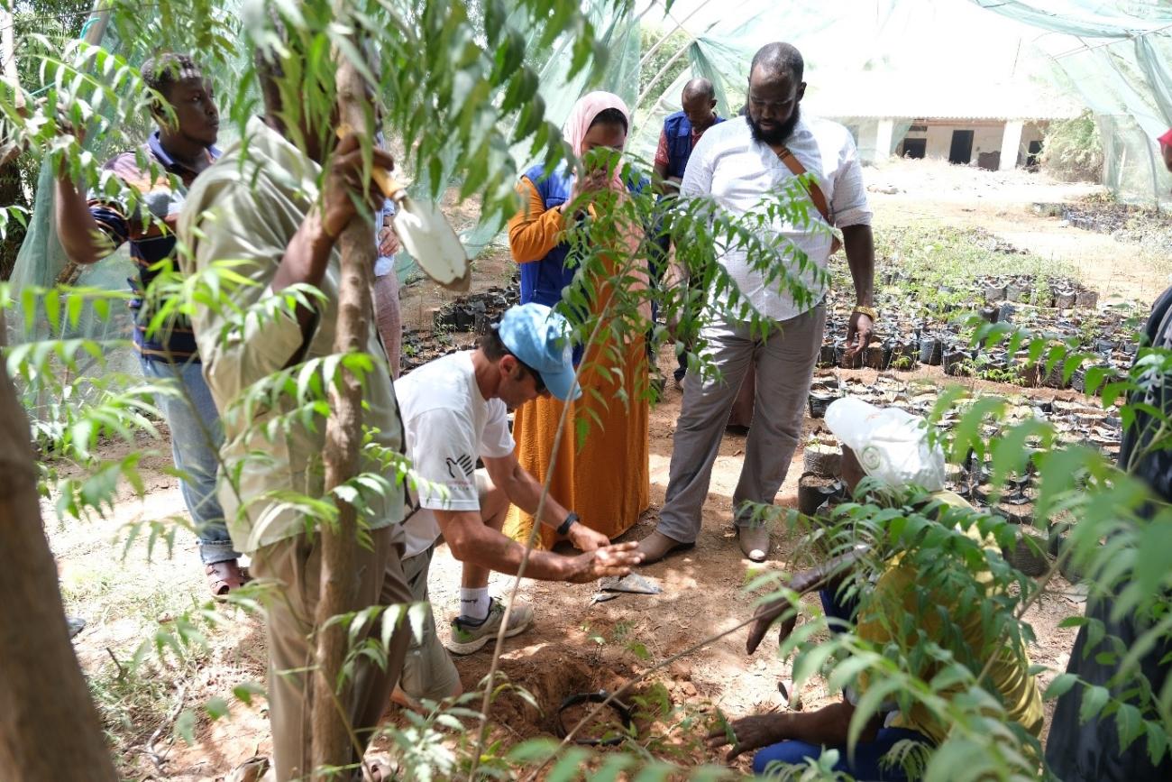 Des membres de personnel du MRC en formation avec les experts de la FAO sur la plantation et l’entretiens d’arbres. 