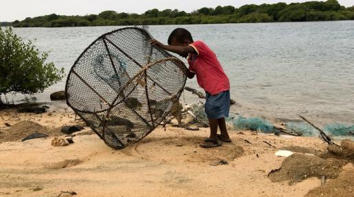 es changements climatiques et la déforestation autour des mangroves ont réduit les sites de reproduction et les prises de poissons dans le nord de Djibouti. 